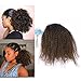 Lacer Afro Kinky Curly Human Hair Ponytail Hair Extensions 4B 4C Coily Natural Remy Curly Clip in Ponytail Extension One Piece For Black Women 10-20 inch (14 inch, Ombre #1B/4 Dark Brown)
