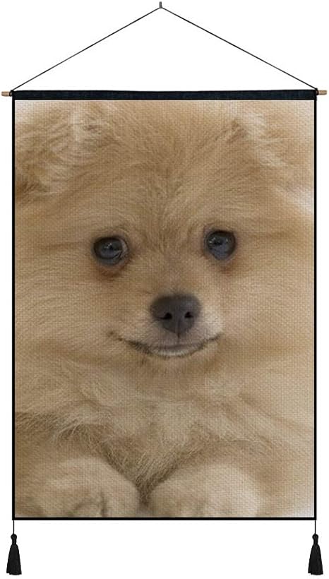 Amazon Co Jp 60cmx80cm 綿の麻 タペストリー 多機能 掛け軸 掛け物 犬の顔白いふわふわ 個性 掛け軸 掛け物 掛けじく ポスター インテリア 組立式 部屋飾り壁 壁飾り ホーム キッチン