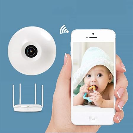 pet video monitoring system