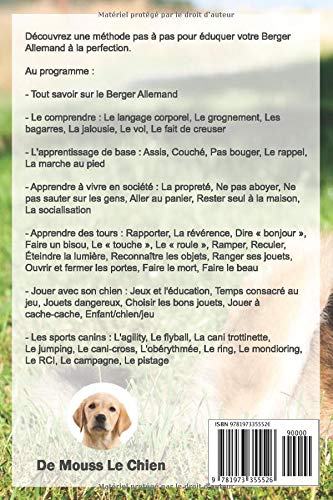 Leducation Du Berger Allemand Toutes Les Astuces Pour Un
