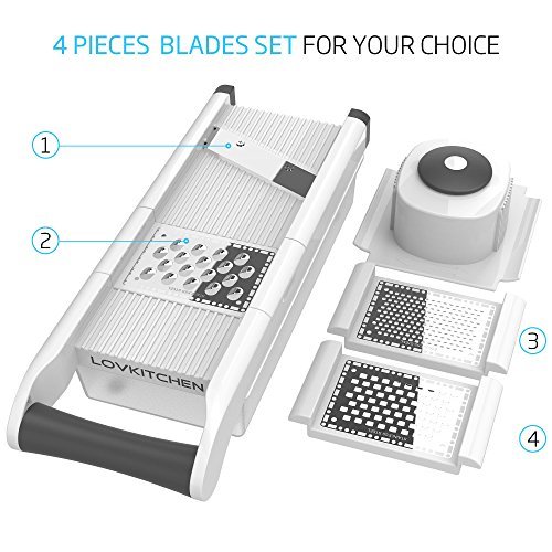 Vegetable & Fruit Grater & Julienne Slicer with 3 Stainless Steel Blades & Storage Container