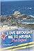 Love Brought Me To Aruba: The Sequel by Dana Mahan Jr.
