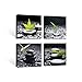 SUMGAR Framed Wall Art Bathroom Decor Black and White Canvas Paintings Green Pictures Zen Stone Spa 4 Piece,12x12 in