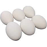 Ceramic Chicken Nesting Eggs (White) - Fake Training Eggs for Laying Chickens, Hen Nest Boxes &amp; Home Decoration - 6 Pack