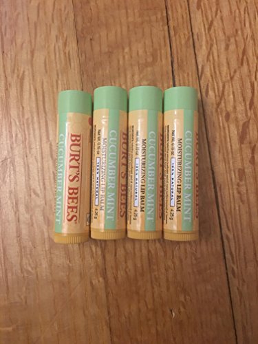 Burtâ€™s Bees Cucumber Lip Balm (pack of 4)
