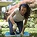 SpemOk Kneeling Pads for Gardening - Extra Thick Large Foam Cushion, Garden Knee Mat for Gardener, Kneeler, Work, Cleaning, Bathing Baby, Yoga, Household Chores, Auto Repair