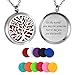 HooAMI Aromatherapy Essential Oil Diffuser Necklace - Stainless Steel Pendant Locket Jewelry,12 Refill Pads (to The World...)