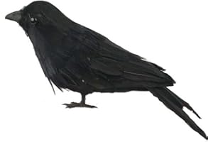 Fashionwu Realistic Crows Halloween Handmade Crow Prop Feathered Black Crows Props Raven Scene Birds Decoration - 1pc Standing Crow, 6.3in