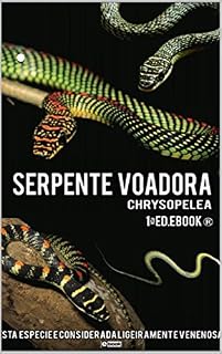 Livro Ebook Serpente Voadora -1ª Ed.