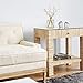 HOUZZ Interior Lemongrass & Ginger Home Fragrance Reed Diffuser | Scent Notes: Lemongrass, Eucalyptus, Ginger, Thyme, Cedarwood & Sage