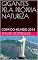 Livro GIGANTES PELA PRÓPRIA NATUREZA : COPA DO MUNDO 2014
