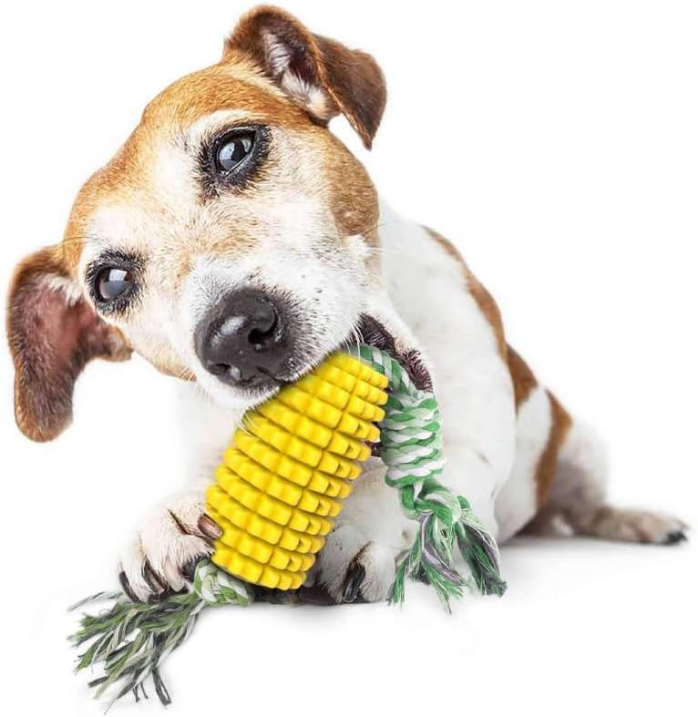 chuck it dog toys amazon