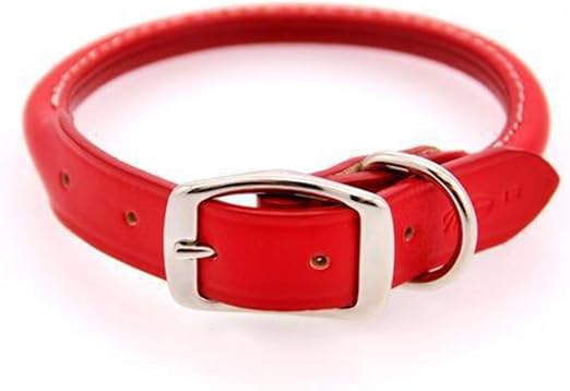 amazon rolled leather dog collar