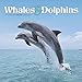 Whales & Dolphins 2020 Wall Calendar by 