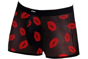 Evankin Men's Underwear Sexy Mesh Breathable Boxer Briefs Low Rise Cool Valentines Boxers Pack Set