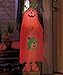 Lighted Color Changing Halloween Trick or Treater Pumpkin Kid Jack O Lantern Candy Bag Witch Hat Greeters Haunted House Decor