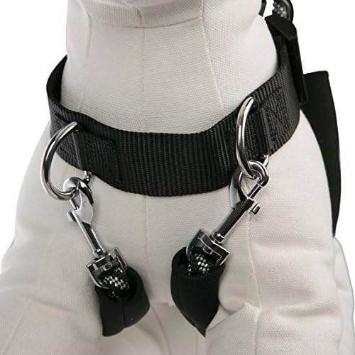 kong training harness