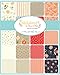 Walkabout Charm Pack by Sherri & Chelsi; 42-5 Inch Precut Fabric Quilt Squares