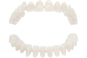 Scicalife 1 Set Dental False Teeth Model Resin Teeth Mode Denture Model Teeth Model Teaching Tools