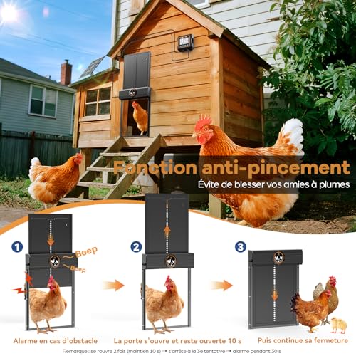 Large Automatic Solar Chicken Coop Door with Waterproof Controller, Automatic Aluminium Solar Chicken Coop Door with Light Sensor, Timer, Anti-Pinch Function, 24 x 27.5 cm
