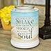 Elanze Designs Shake The Sand from Shoes Beach and Ocean Stoneware Electric Jar Candle Warmer
