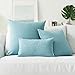 Decorative Pillows, Kevin Textile Velvet Solid Striped Throw Cushion Cover Sham Pillow Cover Soft Sofa Pillows Case for Chair, 20x20 inch (50cm),Set of 2,Niagara Blue