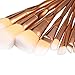 DE'LANCI Makeup Brushes 8Pcs Rose Golden Contour Brush Kit Synthetic Cosmetic Brush Set Pro Powder Concealer Foundation Eyeshadow Make Up Brush Tools with Gift Box