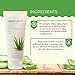 [The Face Shop] Herb Day Cleansing Foam, Aloe