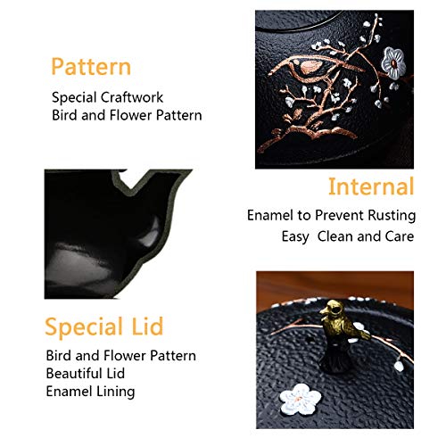 Cast Iron Teapot, Japanese Style Tetubin, Tea Kettle with Removable