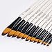 Artist Paint Brushes Set - 12 Piece - Filbert Golden Nylon Bristles - Professional Brush for Watercolor Acrylic, Gouache, Oil and Facepaint