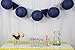 Just Artifacts 12-Inch Navy Blue Chinese Japanese Paper Lanterns (Set of 5, Navy Blue)