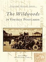 San Antonio in Vintage Postcards (Postcard History Series)