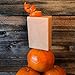 Twisted Orange - Citrus & Orange Peel - Premium Handmade Soap - 100% Natural & Organic