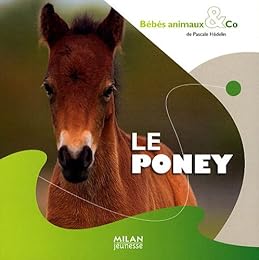 Le  poney