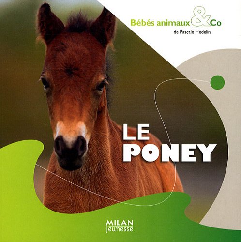 Le  poney