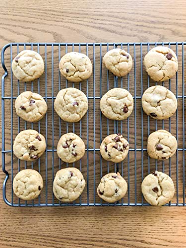 Chocolate Chip Cricket Cookie Mix With Cricket Powder Cricket Flour Grocery Gourmet Food Amazon Com