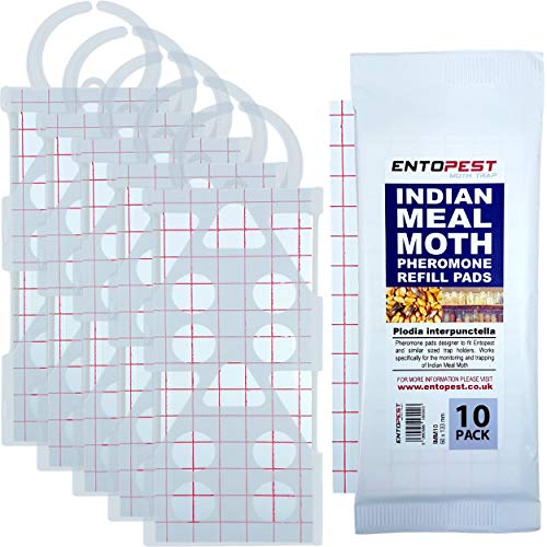 Entopest Pantry Moth Peds | Pheromone Ped Kit - 5 Clear Holders & 10 Refill Pads for Kitchen, moth peds for house, Room & Void MONITOR Treatments | pantry moth peds with pheromones