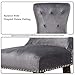 LZ LEISURE ZONE Dining Chairs Set of 2, Velvet Upholstered Grey Accent Chair Button Tufted Armless Chair with Nailhead Trim and Back Ring Pull, with Upgraded Size: 19.7 x 19.7 x 36.4 inches
