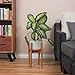 Houseables Plant Stand Adjustable, Indoor Plants Stands, 8″-12″, 1 Pk, Wooden, Bamboo Construction, Mid Century Modern Trivet, Outdoor, Free Standing Display, for Ceramic Flower Pot, House Fernthumb 4