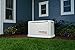 Generac 70291 Home Standby Generator Guardian Series 9/8kW Air-Cooled with Wi-Fi, Aluminum