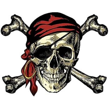 Magnet Pirate Skull and Crossbones Magnetic vinyl bumper sticker sticks to any metal fridge, car, signs 5