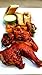 (Qty. 2) 20g Piri Piri Peri Peri Birds Eye Spice Hot Chilli Pepper Whole Pod from Portugal