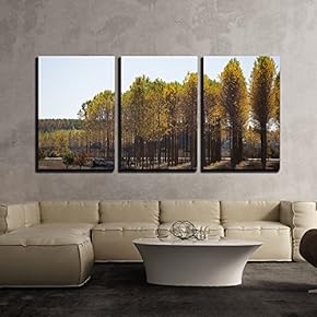 3 Piece Canvas Wall Art - Rows of Trees in Autumn - Modern Home Art Stretched and Framed Ready to Hang - 16"x24"x3 Panels