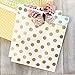 Outside the Box Papers Gold and Mint Green Treat Sacks - Chevron Polka Dot Favor Bags - 5.5 x 7.5 Inches - 48 Pack