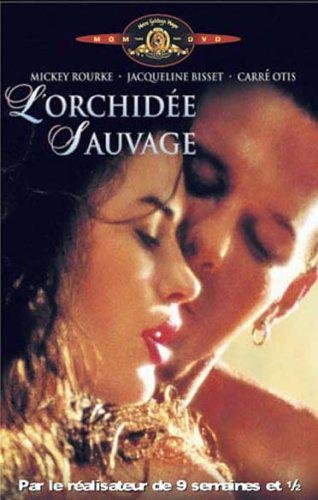 L'orchidée Sauvage