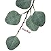 Nerseki Artificial Silver Dollar Eucalyptus Leaf Spray in Green Leaves Indoor Outside Home Garden Office Wedding Décor(3 Stems)