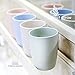 Aestar Multicolor Biodegradable Unbreakable Wheat Straw Water Cup Tumblers 13.5oz Set of 2 for Coffee, Tea, Water, Milk, Juice (L)