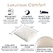 Cheer Collection Natural Latex Pillow Eco-Friendly Ventilated Foam Pillow with Washable Bamboo Cover