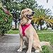 Classic Dog Harness Innovative Mesh No Pull No Choke Design Soft Double Padded Breathable Vest for Eco-Friendly Easy Control Walking Quick Release For Puppies Full size Breeds Large Dogs (Large, Pink)
