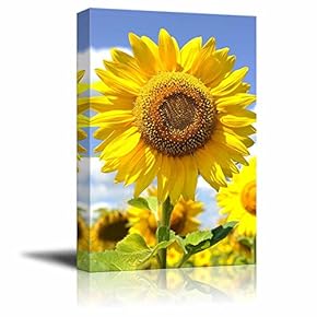 Canvas Prints Wall Art - Closeup of Big Sunflower Under Blue Sunny Sky | Modern Wall Decor/Home Decoration Stretched Gallery Canvas Wrap Giclee Print & Ready to Hang - 12" x 18"